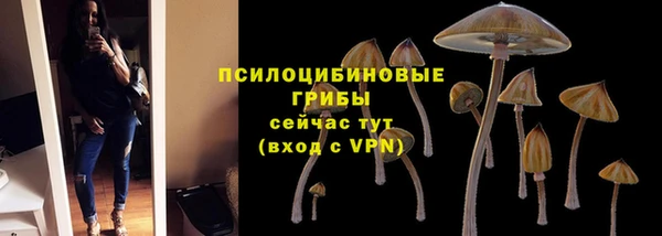 первитин Алексеевка