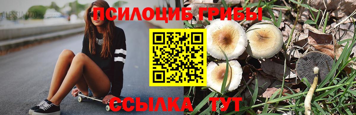 Белореченск  Галлюциногенные грибы ЛСД  Галлюциногенные грибы MAGIC MUSHROOMS  Вход с VPN 